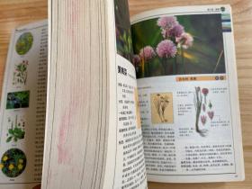 319种中国野菜图鉴.