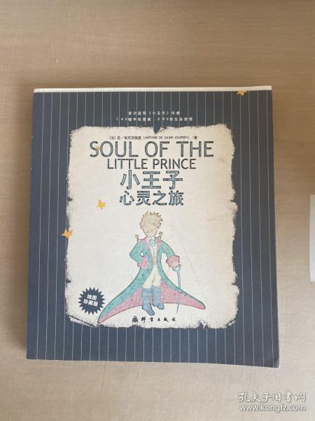 小王子心灵之旅：SOUL OF THE LITTLE PRINCE