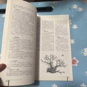 破茧成蝶‖-特别关注高考系vs等你在大学