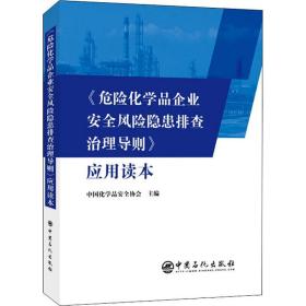 《危险化学品企业安全风险隐患排查治理导则》应用读本 化工技术 中国化学品安全协会主编