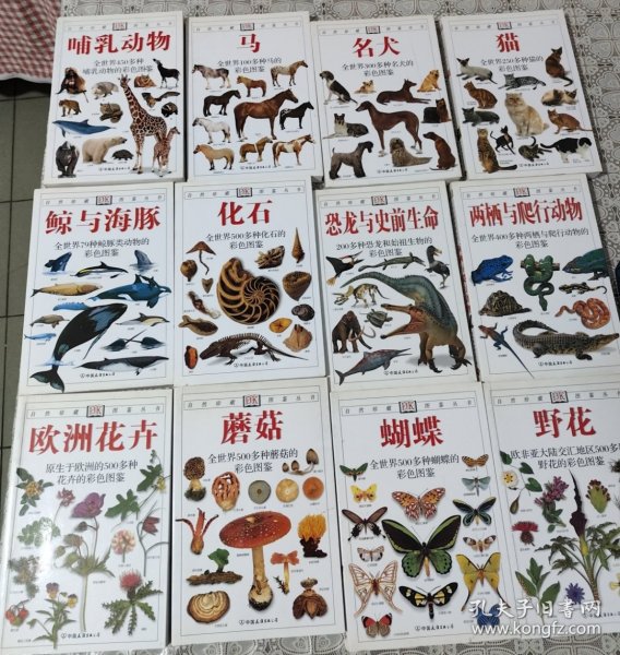 哺乳动物：自然珍藏图鉴丛书