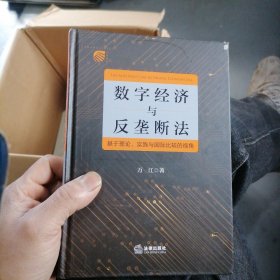 数字经济与反垄断法：基于理论、实践与国际比较的视角