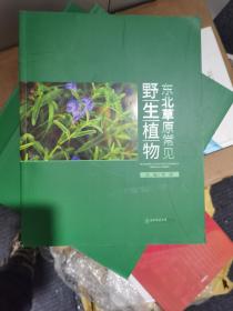 东北草原常见野生植物（全彩图版）