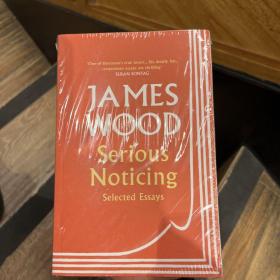 Serious Noticing:Selected Essays