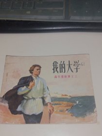 我的大学(高尔基故事之三)