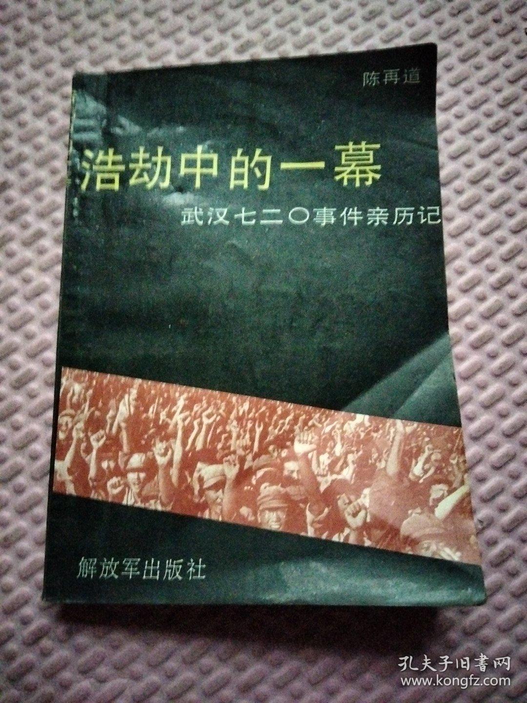 浩劫中的一幕 武汉七二〇事件亲历记