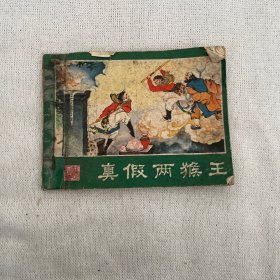 真假两猴王连环画