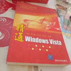 精通Windows Vista