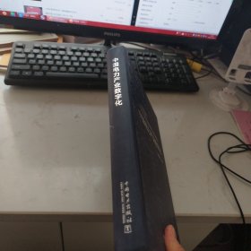 中国电力产业数字化