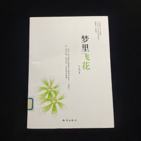 梦里飞花