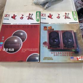 1996年电子报合订本上下合售