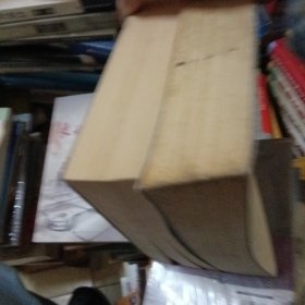 墓畔回忆录（上中卷，缺下卷）