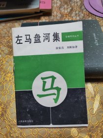 左马盘河集