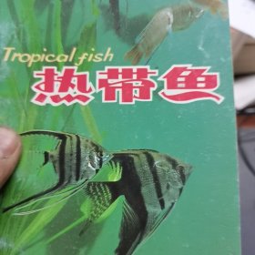热带鱼