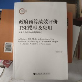 政府预算绩效评价TSE模型及应用