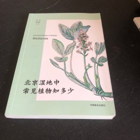 北京湿地中常见植物知多少