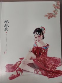 美女艺术照片–枫林晚系列合集(26页)24041754