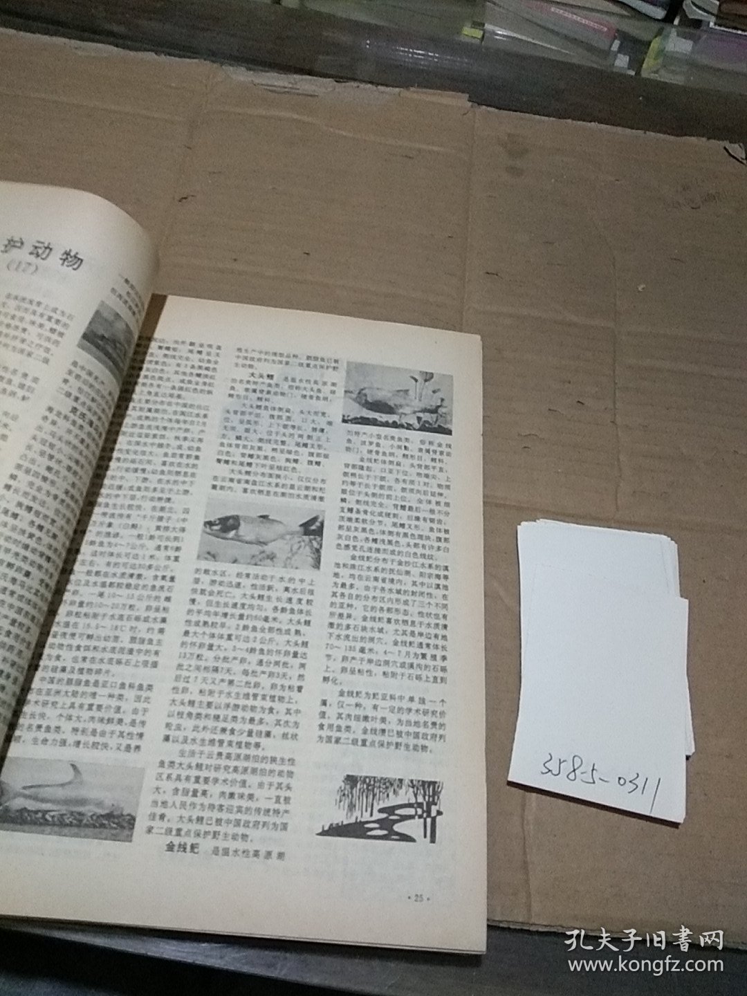 知识就是力量1992.1-6