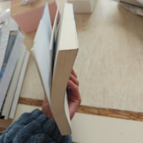 我用微软改变世界