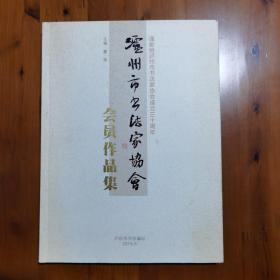 泸州市书法家协会会员作品集