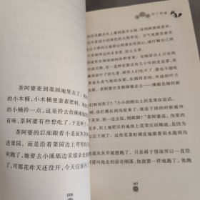 寺院里的小松鼠