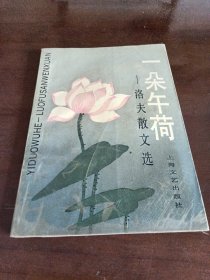 一朵午荷