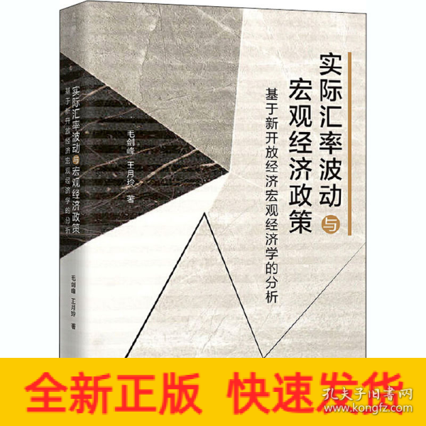 实际汇率波动与宏观经济政策—基于新开放经济宏观经济学的分析