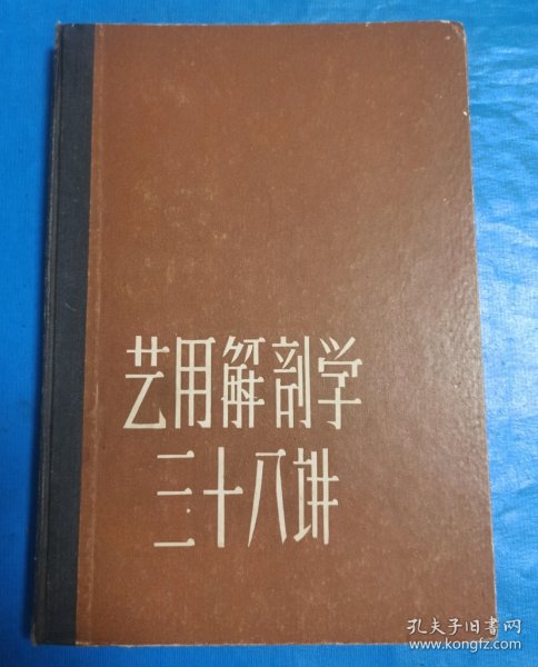 艺用解剖学三十八讲