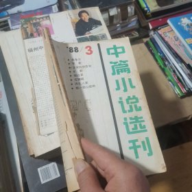 中篇小说选刊：1986年1.4，1985年2.3，1986年2，1988年2.3.4，1989年1.4.5.6，1990年1.2.3.4，1991年3.4，1993年1（19本合售）