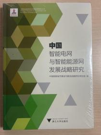 中国智能电网与智能能源网发展战略研究 中国智能城市建设与推进战略研究