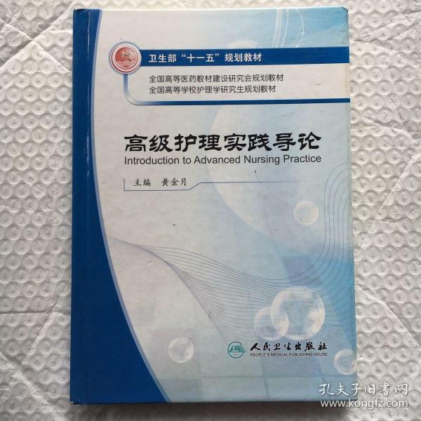 全国高等学校护理学研究生规划教材：高级护理实践导论