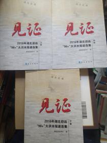 见证2016年湖北迎战98+大洪水报道选集 上中下  全3本