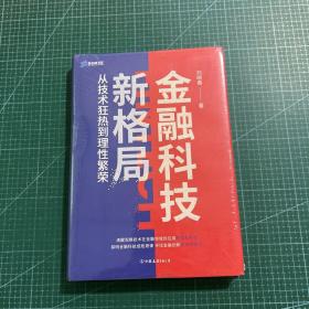 金融科技新格局：从技术狂热到理性繁荣（深度解读金融科技发展和落地问题）