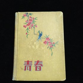 山东师范大学教授·茅盾研究学者·査国华·1958日记一册