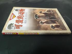 可愛的動(dòng)物--奇趣動(dòng)物叢書