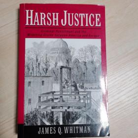 Harsh Justice：Criminal Punishment and the Widening Divide between America and Europe