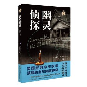 幽灵侦探（域外故事会神秘小说系列）