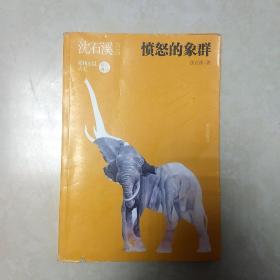 沈石溪作品 愤怒的象群