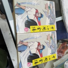 十小闹金陵，上下册。
