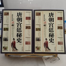 唐朝宫廷秘史 （上下册两册合售）