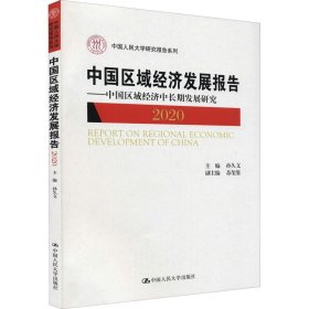 中国区域经济发展报告2020——中国区域经济中长期发展研究