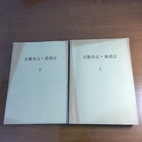 安徽省志．巢湖志（上下）