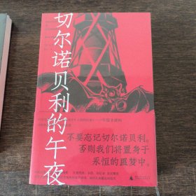 切尔诺贝利的午夜（《纽约时报》《时代周刊》年度图书）