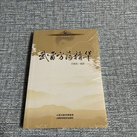 武当道医临证灵方妙法系列丛书：武当方药精华