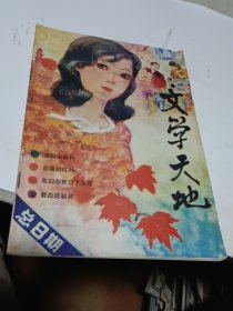 文学天地1987.4总8期