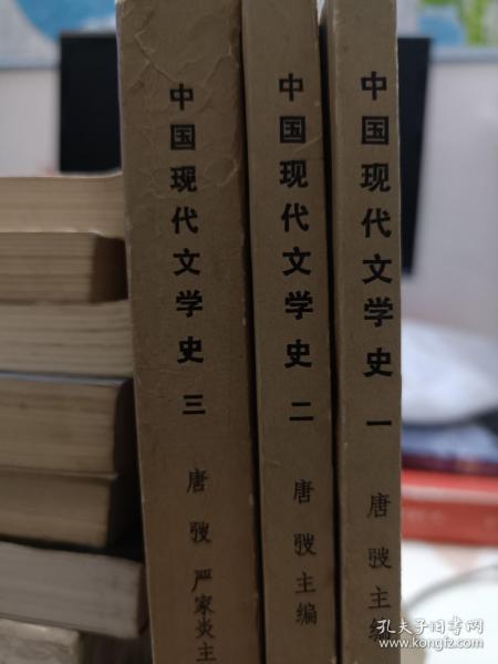 高等学校文科教材：中国现代文学史2