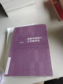 现象学直观的大学教学论