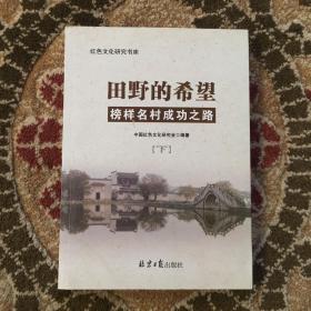 田野的希望榜样名村成功之路/红色文化研究书库