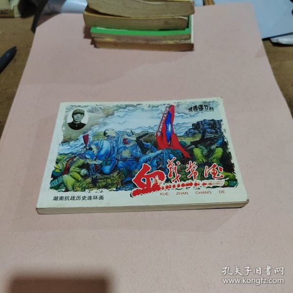 湖南抗战历史连环画：血战常德