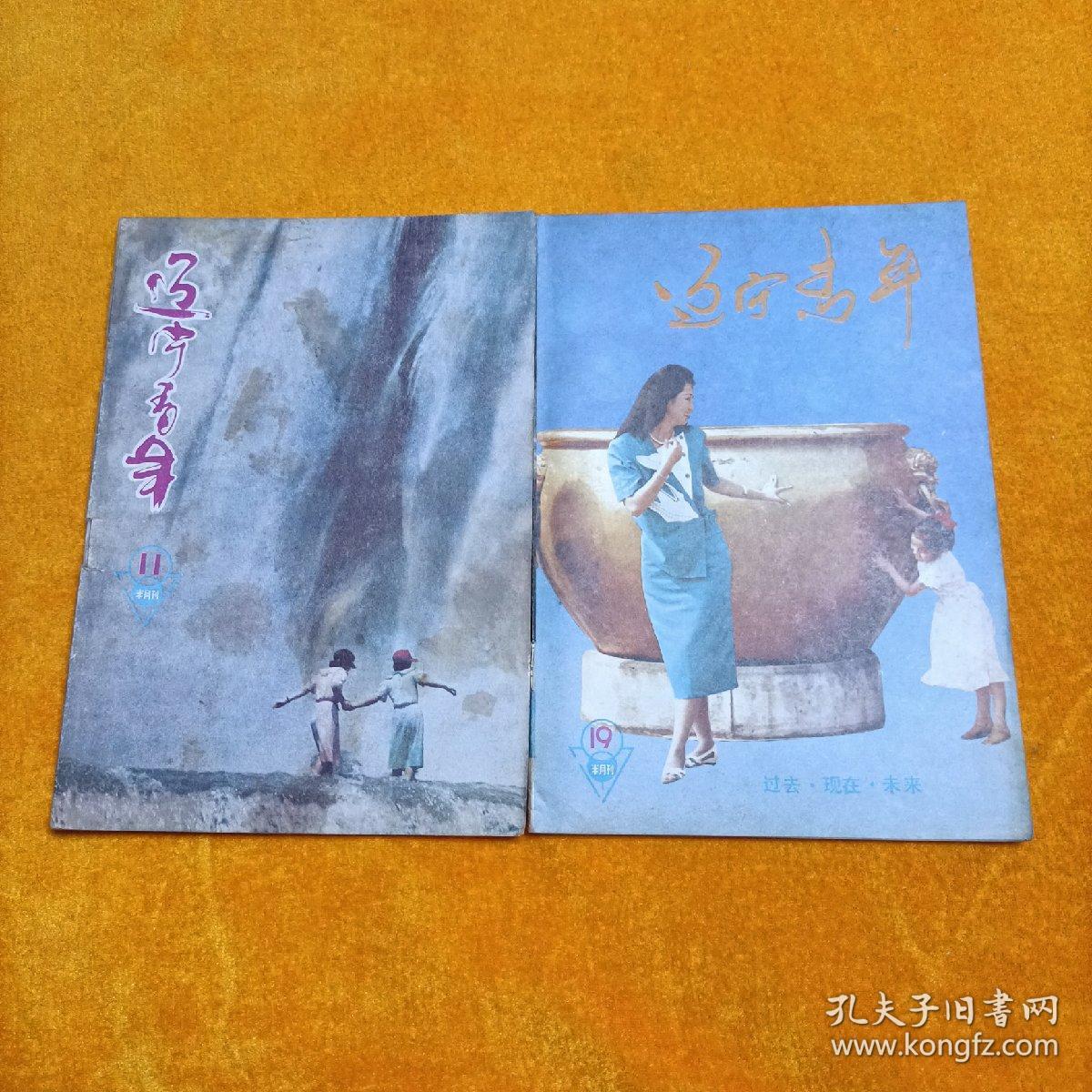 辽宁青年87年11、19期